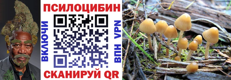Псилоцибиновые грибы Psilocybine cubensis Ясный